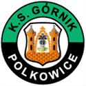 Gornik Polkowice