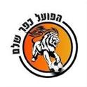 Hapoel Kfar Shalem