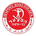 Hapoel Bnei Zalfa